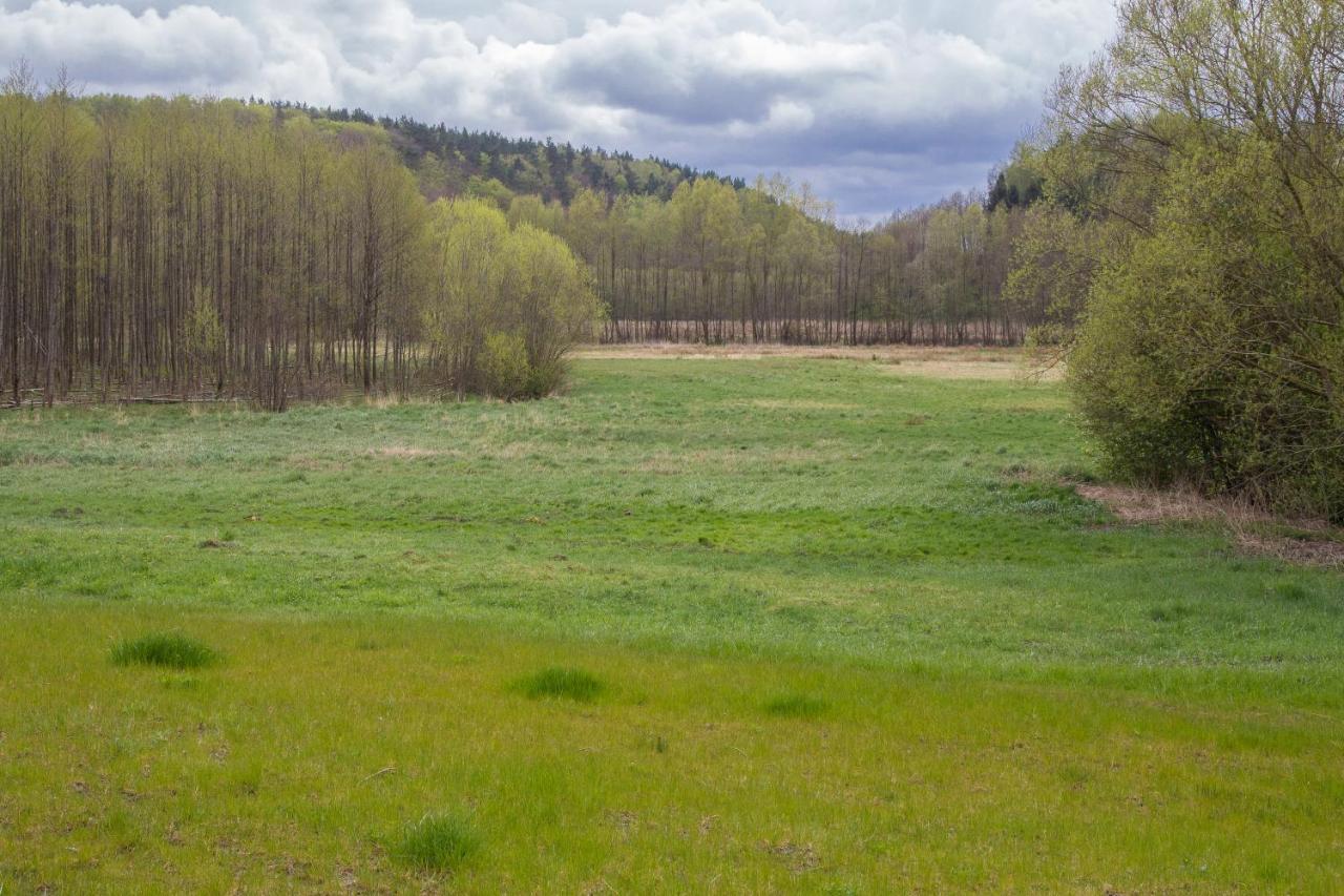 Domki Przystanek Drzewina Exterior photo